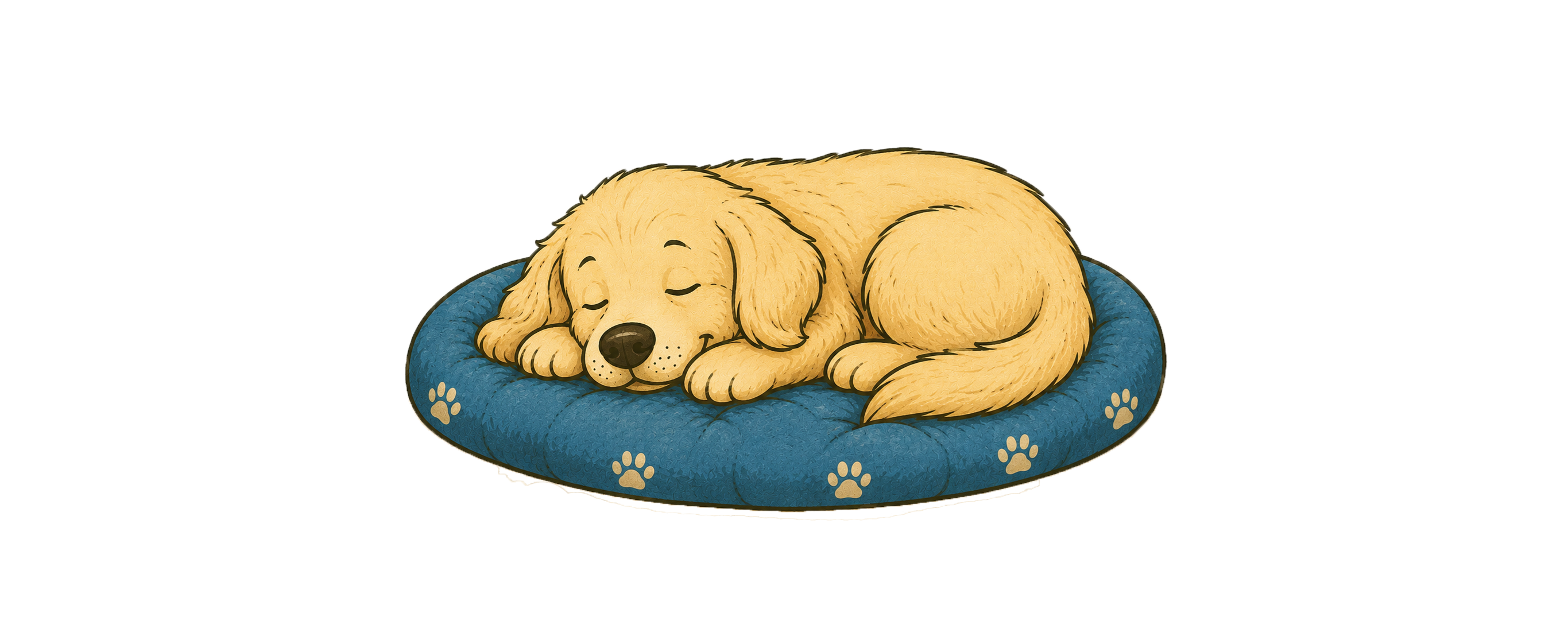 Wat zegt de slaaphouding van je hond?