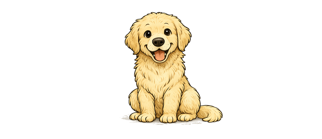 Waarom spelen essentieel is voor een gelukkige hond