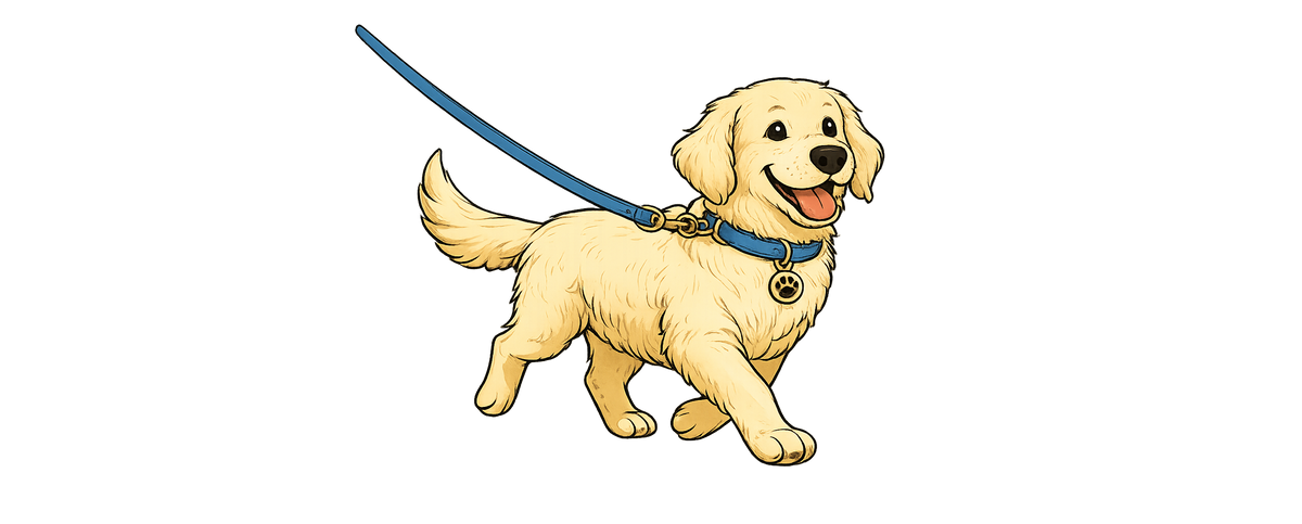 5 manieren om een wandeling met je hond leuker te maken