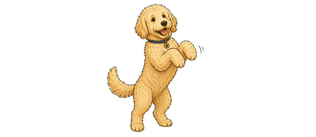 5 Leuke trucjes om je hond te leren