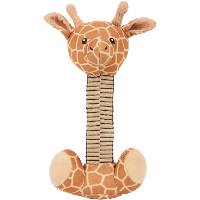 Bungee rope Giraffe