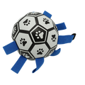 Ballon avec sangles