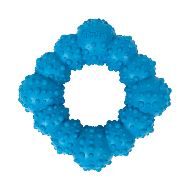 Anneau de dentition 4 coins