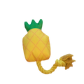 Floating pineapple with rope