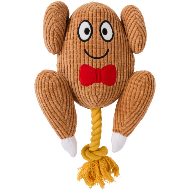 Plush turkey with rope